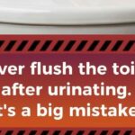 feature_image_toilet_warning_16x9