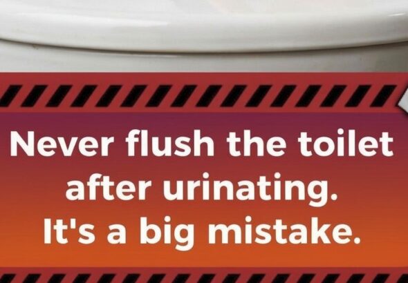 feature_image_toilet_warning_16x9